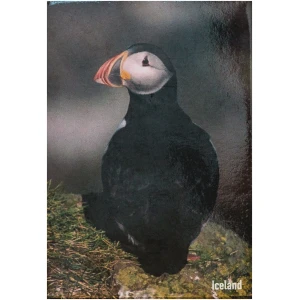 Magnet puffin