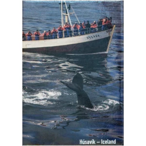 Magnet Husavik whale