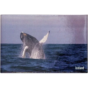 Magnet whale